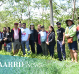 DOST-PCAARRD bolsters Mindanao industrial tree plantations industry through project review and sequel project workshop